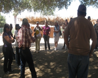 Actividades en grupo